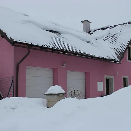 Apartman U Hriste Krkonose Prostredni Lanov Exterior photo